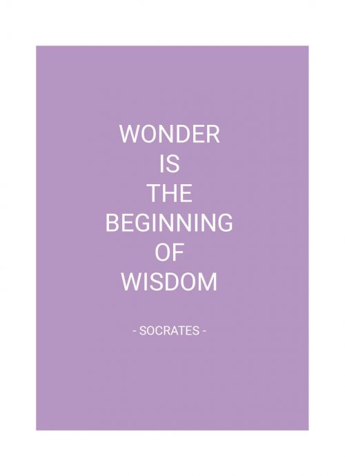 Planner Quote Lila Hardcover