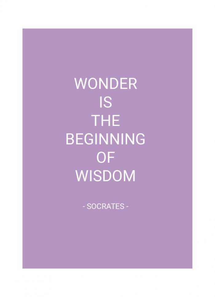 Planner Quote Lila Hardcover