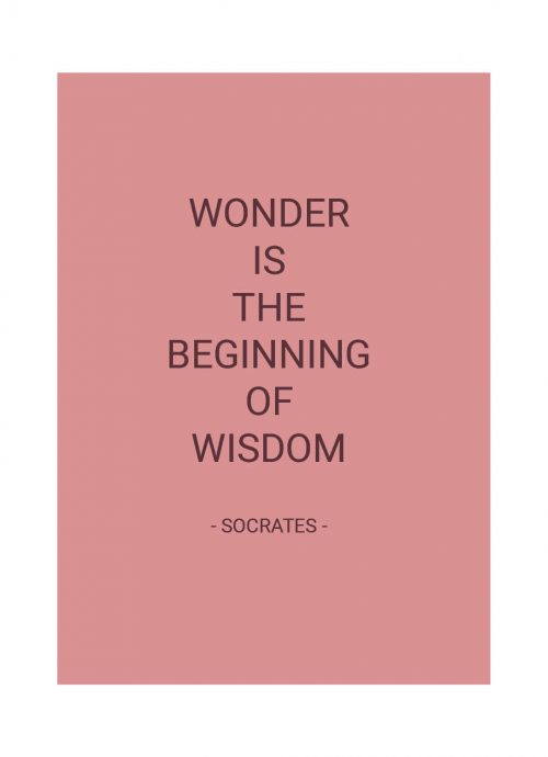 Planner Quote Oud Roze Hardcover