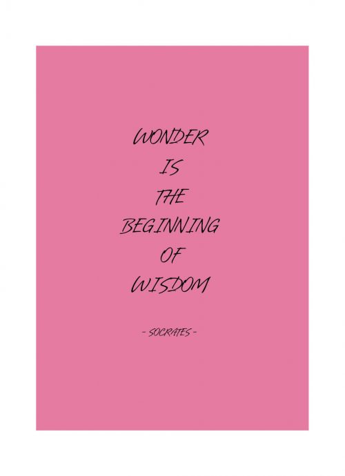 Planner Quote Roze Softcover