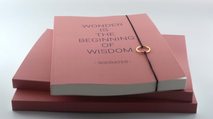 Planner Frida Kahlo Softcover Roosjes Roze - Afbeelding 8
