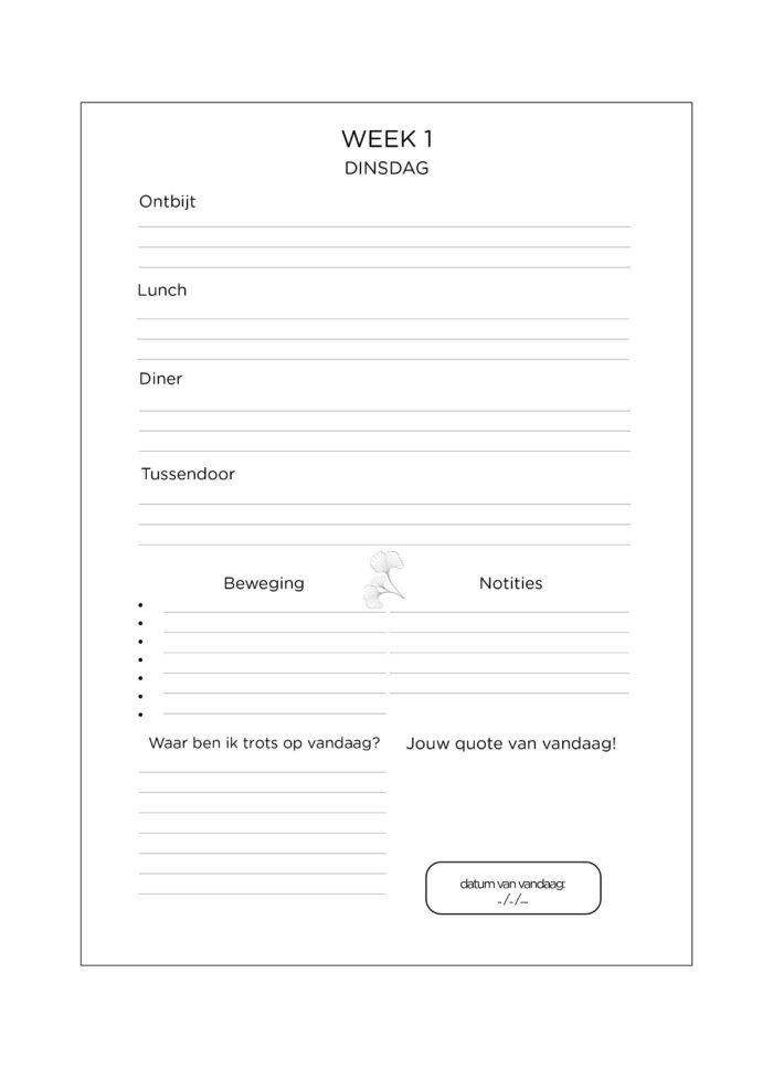 Eetdagboek Gyncko Blaadjes - Afbeelding 4